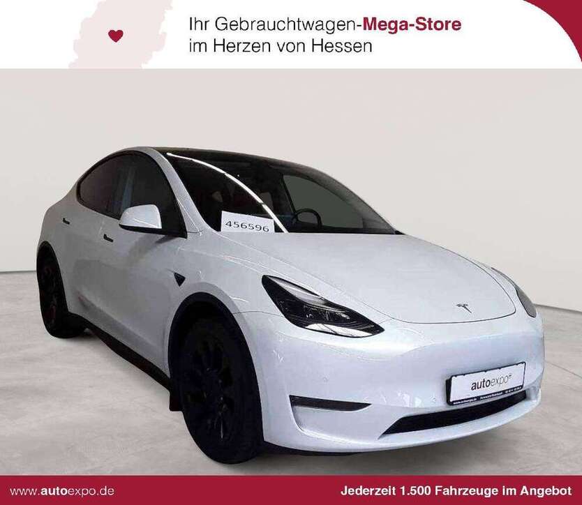Model Y