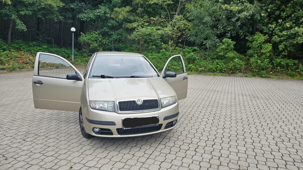 Skoda Fabia 132.000 km 6.000 € Annaberg-Buchholz 09456