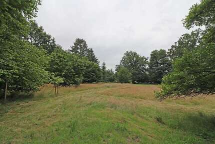 Grundstück zu verkaufen in Dannenberg (Elbe) 80.000 € 3738 m² zimmer