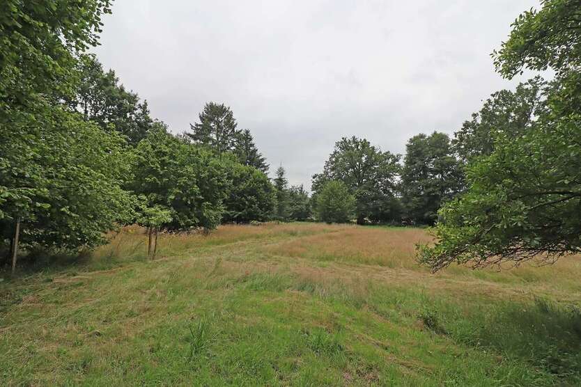 Grundstück zu verkaufen in Dannenberg (Elbe) 95.000 € 3738 m² zimmer