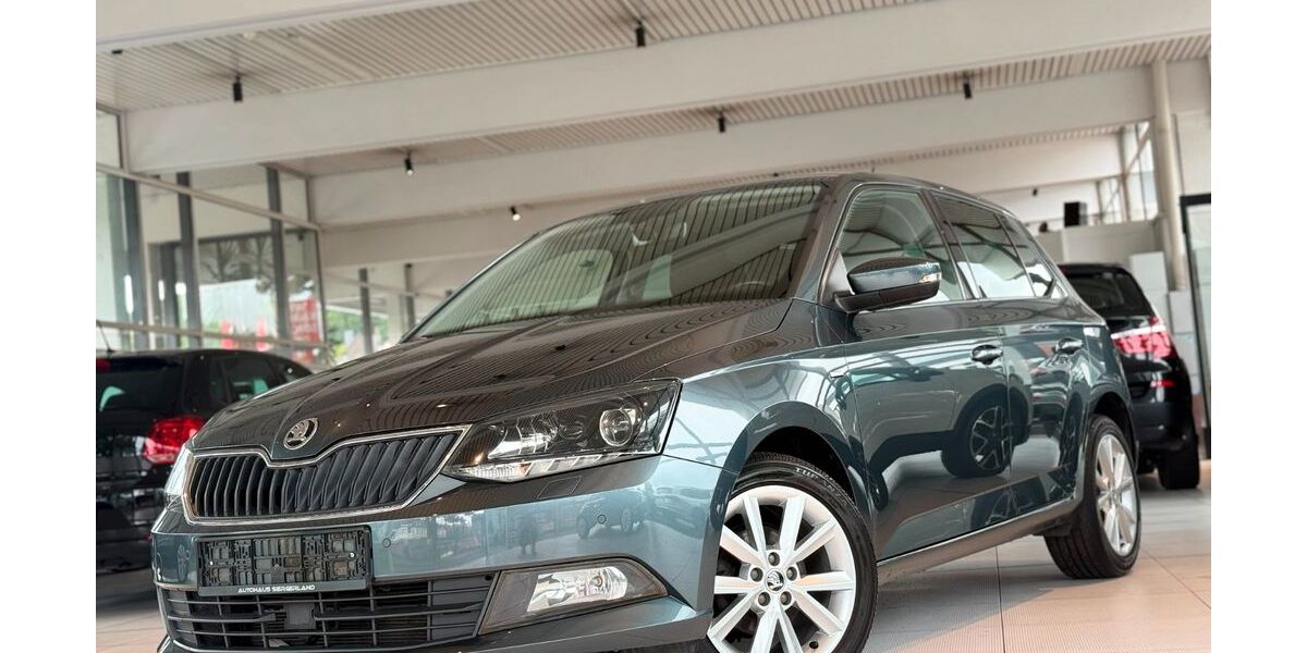Skoda Fabia 66.821 km 9.991 &euro; Siegen 57078