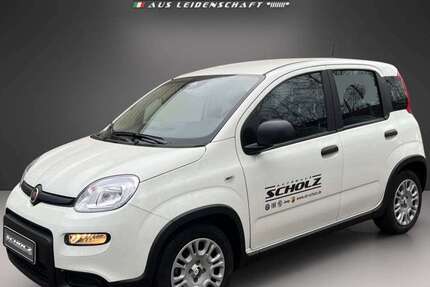 Fiat Panda 8.970 km 14.990 &euro; Bautzen 02625