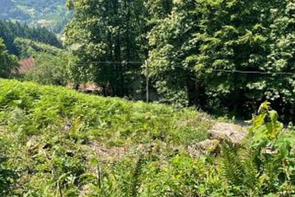 ERSCHAFFEN SIE IHREN WOHNTRAUM IM GRÜNEN - Grundstück Ottenhöfen im Schwarzwald | Angebot:25361196