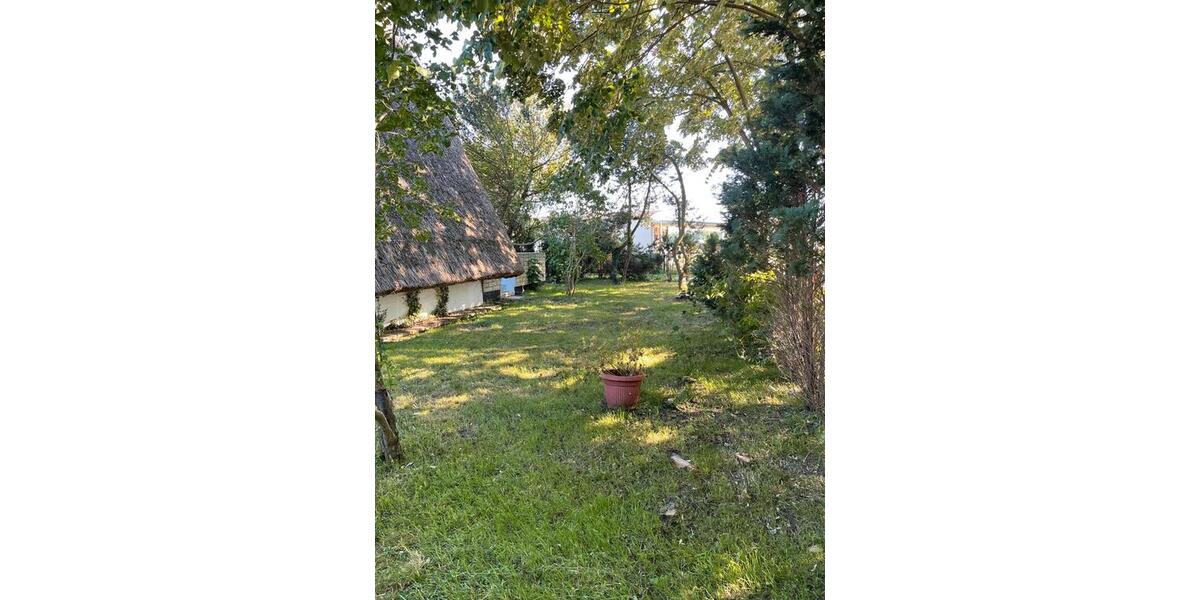 Einfamilienhaus Admannshagen-Bargeshagen Bargeshagen - 3 Zimmer, 40 m&sup2;, 198.500&euro; | Angebot:27432904