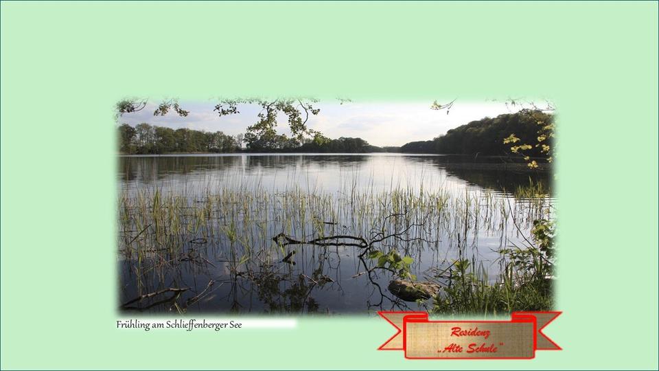 Erdgeschoßwohnung Lalendorf - 1 Zimmer, 41 m&sup2;, 250&euro; | Angebot:26315916