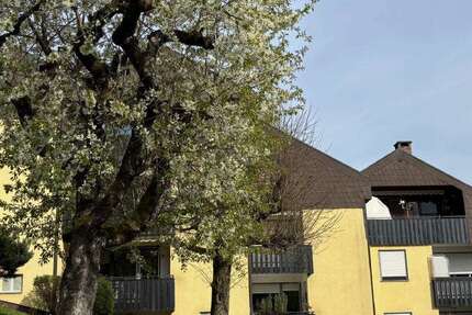Wohnung Bad Berneck - 1 Zimmer, 40 m&sup2;, 85.000&euro; | Angebot:26384754