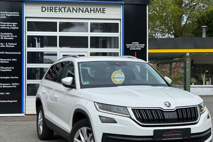 Skoda Kodiaq 199.250 km 17.990 &euro; Kappeln 24376