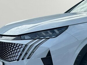 Peugeot 3008 Hybrid 145 GT-e-DSC6 45.300 km 27.850 &euro; Bad Wünnenberg 33181