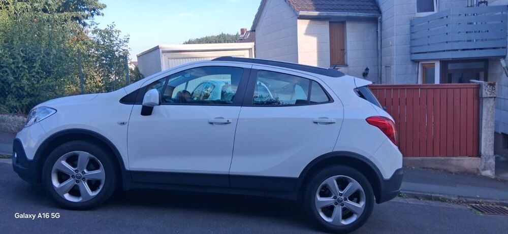 Mokka