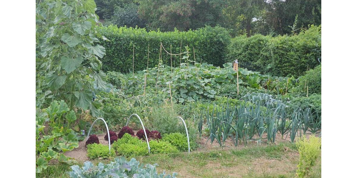 Grundstück Bergisch Gladbach Frankenforst - 50&euro; | Angebot:26616122