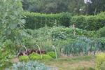 Grundstück Bergisch Gladbach Frankenforst - 50&euro; | Angebot:26616122