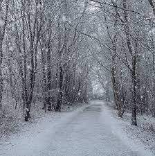 Charmantes Baugrundstück am Schweriner See :-) zimmer