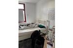 Erdgeschoßwohnung Zülpich - 4 Zimmer, 105 m&sup2;, 1.550&euro; | Angebot:26413915