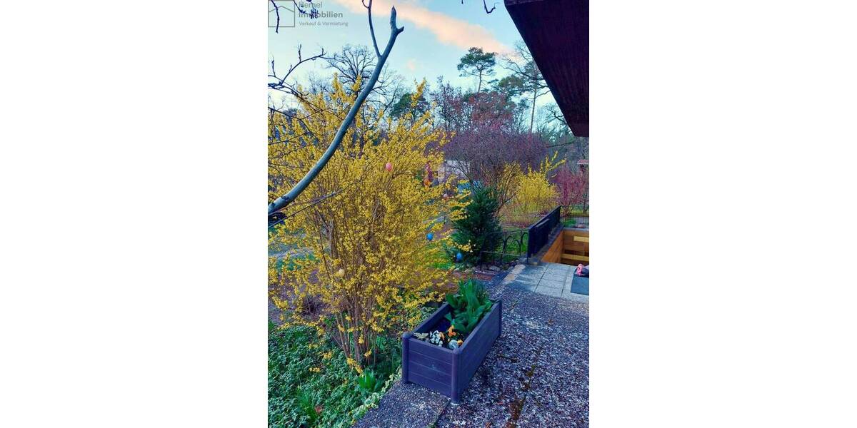 Mehrfamilienhaus, Wohnhaus Brandenburg an der Havel Görden - 2 Zimmer, 37 m&sup2;, 130.000&euro; | Angebot:26875269