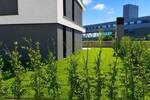 Etagenwohnung Heidelberg Bahnstadt - 2 Zimmer, 84 m&sup2;, 585.000&euro; | Angebot:26434957