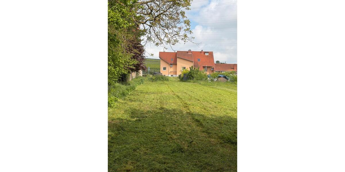 Grundstück Alzey - 7.788&euro; | Angebot:26459132
