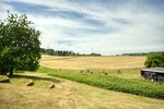 Natur pur! Außergewöhnliches Architektenhaus in traumhafter Lage und mit Einliegerwohnung - Einfamilienhaus Schmelz | Angebot:27010420