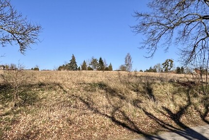 HORN IMMOBILIEN++ Baugrundstücke in Brüssow - Grundstück Brüssow | Angebot:20345128