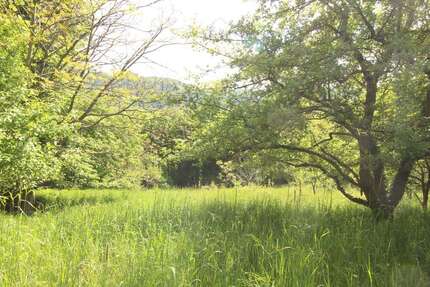 Grundstück Murrhardt - 25.000&euro; | Angebot:20649787