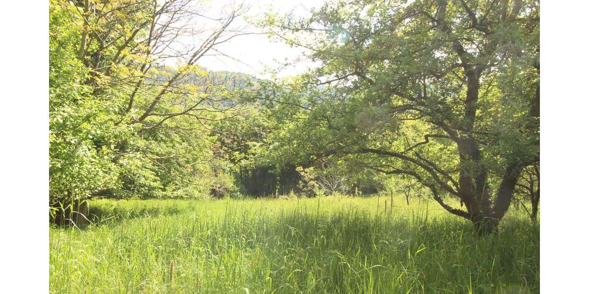 Grundstück zu verkaufen in Murrhardt 25.000 € 2313 m² zimmer