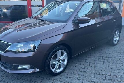 Skoda Fabia 99.600 km 9.780 &euro; Voerde 46562