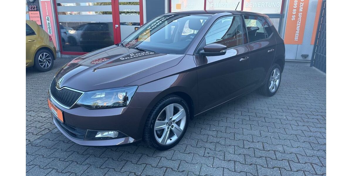 Skoda Fabia 99.600 km 9.780 &euro; Voerde 46562