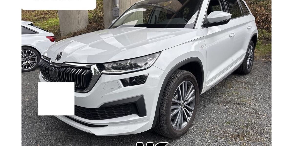 Skoda Kodiaq 187.576 km 24.450 &euro; Steinbach-Hallenberg OT Herges-Hallenberg 98587