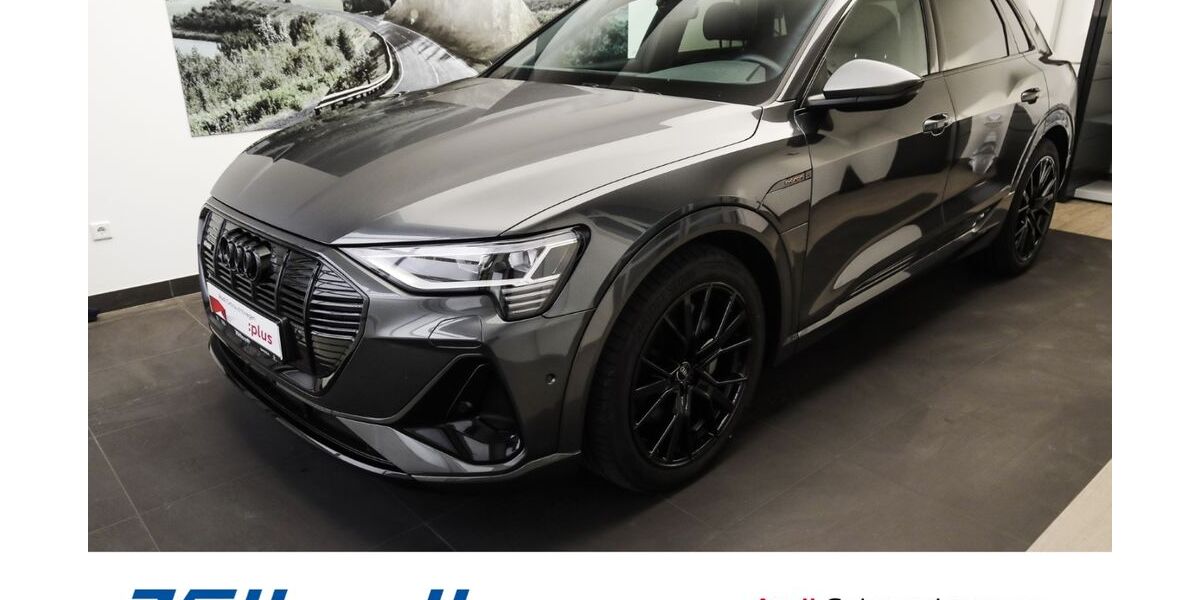 Audi e-tron 42.978 km 41.480 &euro; Holzminden 37603