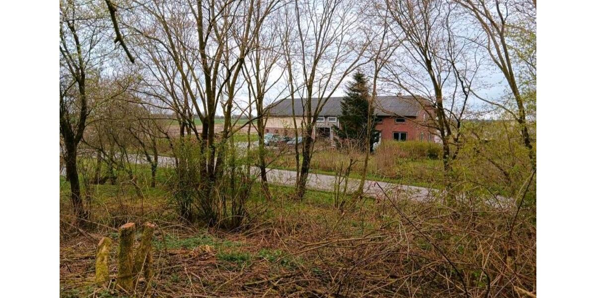 Bauernhaus, Landhaus Klanxbüll - 5 Zimmer, 140 m&sup2;, 355.000&euro; | Angebot:26809671