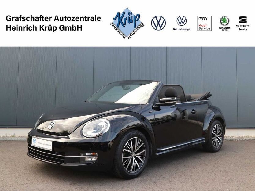 Beetle
