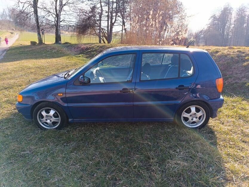 Polo