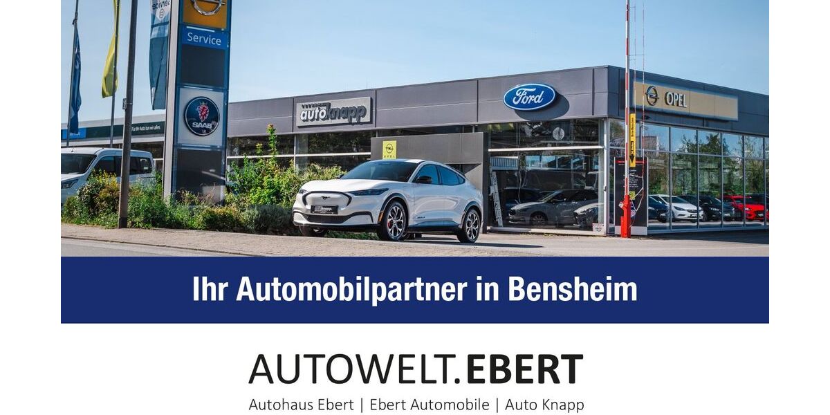 Opel Grandland (X) 4.900 km 36.890 &euro; Bensheim 64625