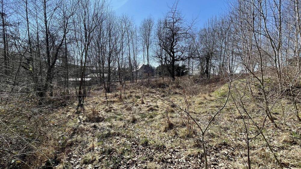 Grundstück Beiersdorf - 35.000&euro; | Angebot:25704845