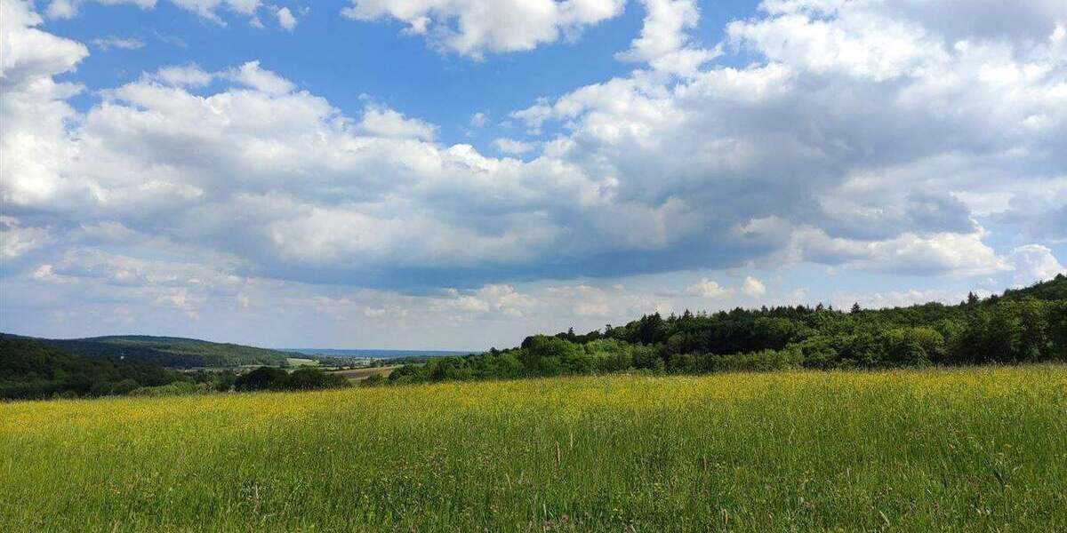 MÖBLIERTES SINGLE-APARTMENT IN RUHIGER LAGE VON REUTTI 1 zimmer