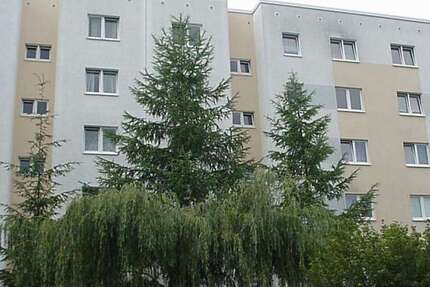 Wohnung zum Mieten in Wolgast 328,39 € 64.39 m²