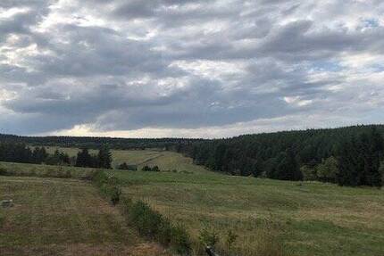 Grundstück Altenberg Zinnwald-Georgenfeld - 18.000&euro; | Angebot:25700102