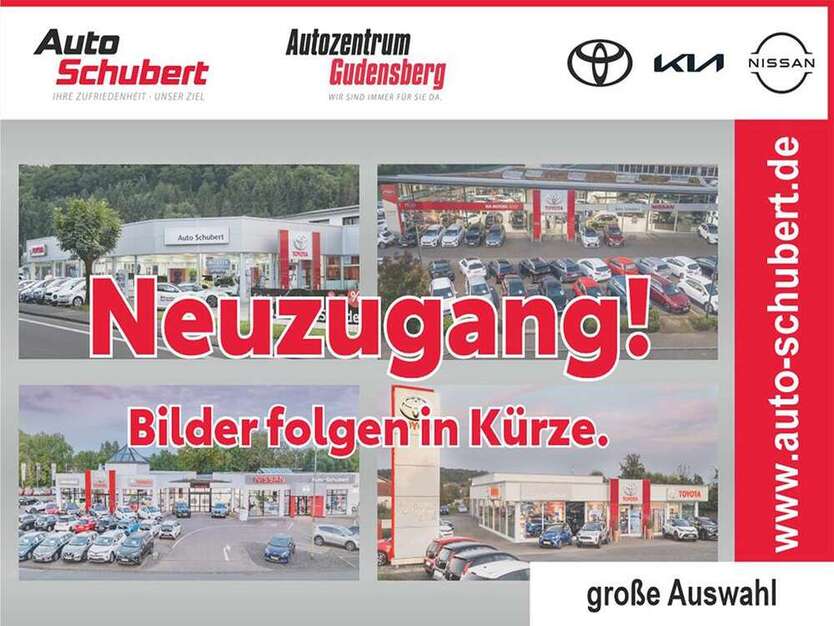 Auris