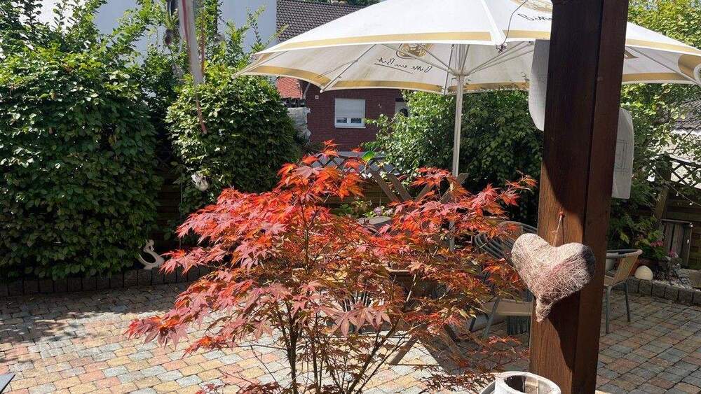 Mehrfamilienhaus, Wohnhaus Hennef Dambroich - 1 Zimmer, 473 m&sup2;, 640.000&euro; | Angebot:25531993