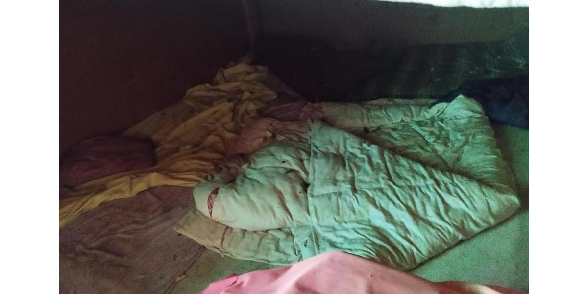 Bungalow Peitz - 35.000&euro; | Angebot:25056264