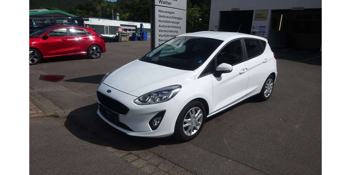 Ford Fiesta 87.950 km 9.900 &euro; Kirchzell 63931