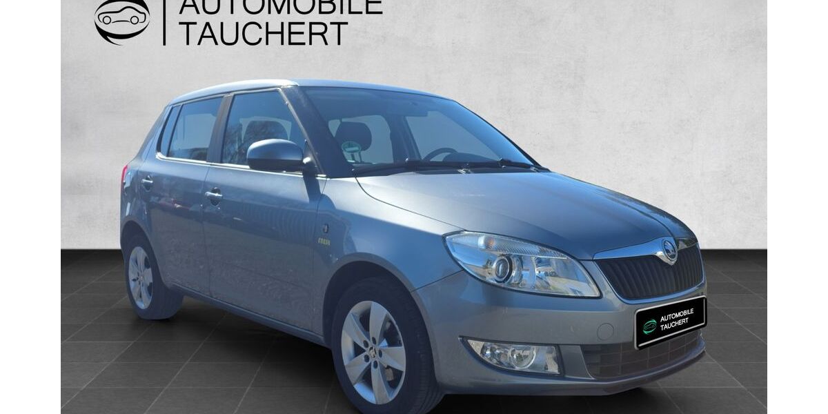 Skoda Fabia 100.000 km 7.190 &euro; Hainichen 09661