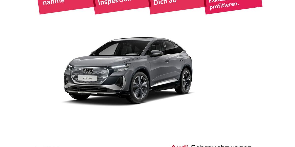 Audi Q4 e-tron 39.318 km 37.481 &euro; Weinheim 69469