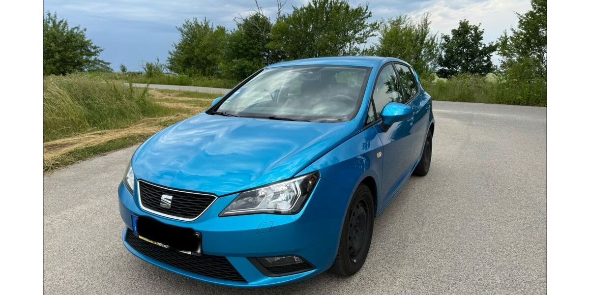 Seat Ibiza 169.500 km 4.200 &euro; Kossa 04849