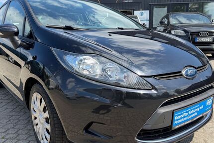 Ford Fiesta 163.175 km 2.450 &euro; Munster 29633