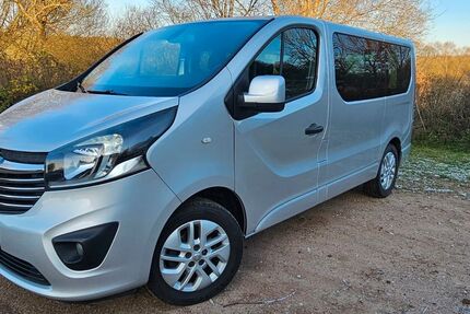 Opel Vivaro 152.483 km 12.999 &euro; Barnitz 23858