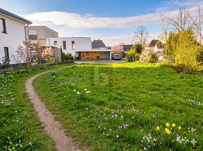 HOHE AUSNUTZBARKEIT IN TOPLAGE - Grundstück Halle | Angebot:26270221