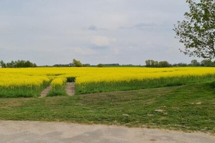 RIESIGES FREIZEITGRUNDSTÜCK - Grundstück Walkendorf-Repnitz | Angebot:19800429