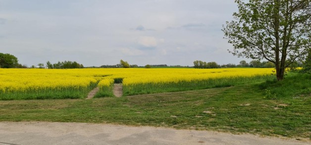 RIESIGES FREIZEITGRUNDSTÜCK zimmer