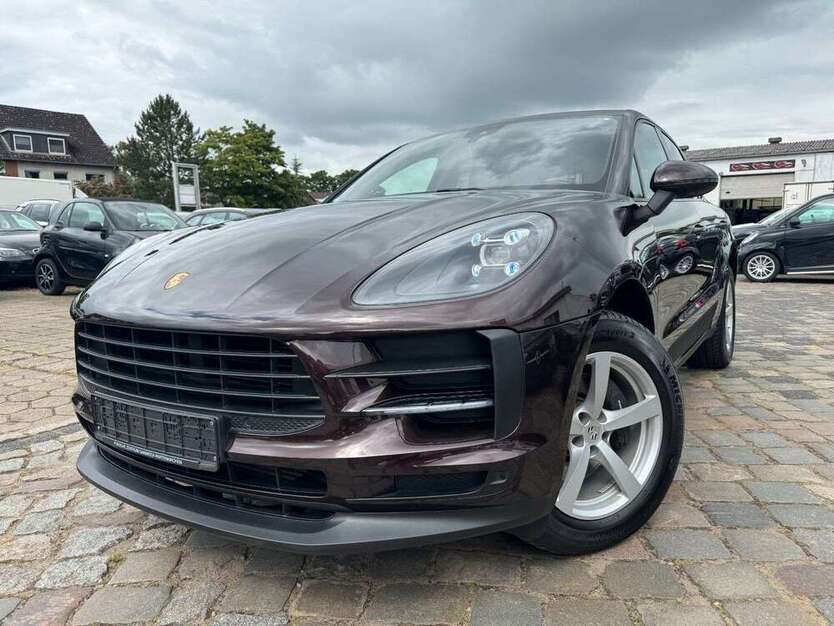 Macan