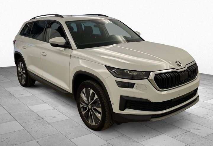 Skoda Karoq 111.358 km 15.009 € Deuerling 93180